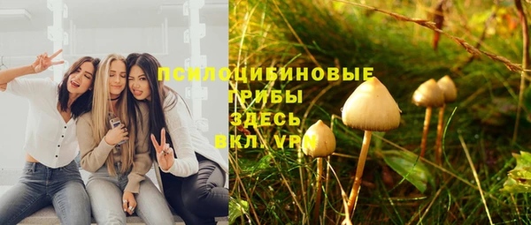 винт Абинск