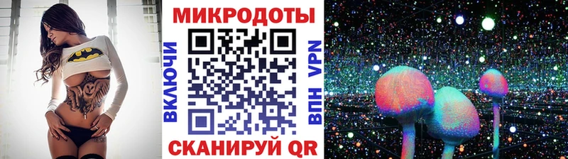 KRAKEN ONION Красково Псилоцибиновые грибы Cubensis